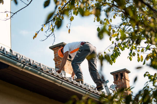 Best Flat Roof Repair Services  in North Newton, KS