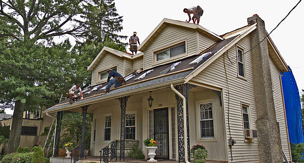 Best Flat Roof Repair Services  in North Newton, KS